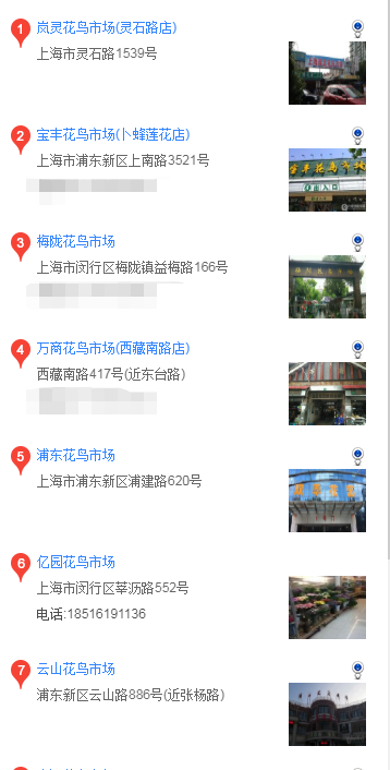 上海哪里可以买萨摩耶 上海在什么地方可以买萨摩耶