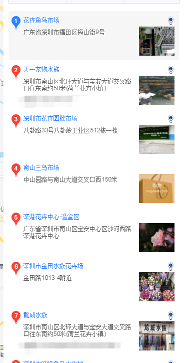 深圳哪里买马尔济斯 深圳怎么买马尔济斯犬