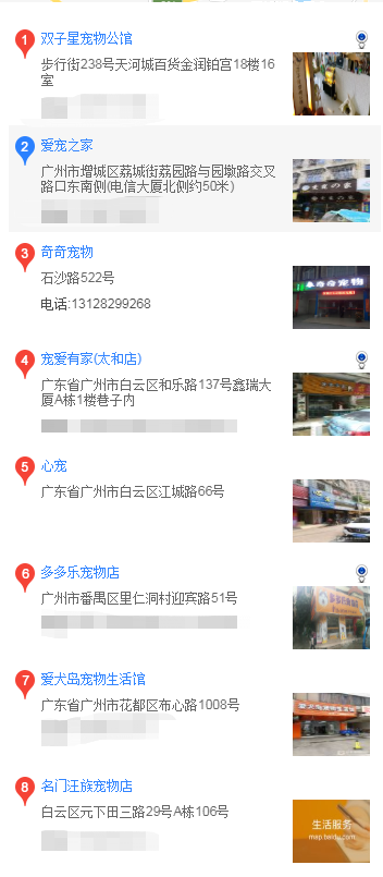 广州哪家狗场买吉娃娃 广东购买吉娃娃的地方