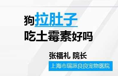 狗拉肚子吃土霉素好吗
