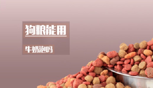 牛奶泡狗粮狗狗可以吃吗