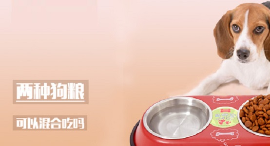 两种狗粮可以混合吃吗