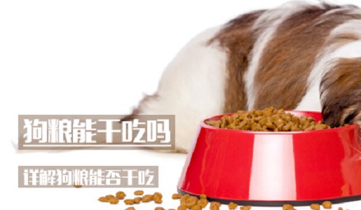 狗粮能干吃吗