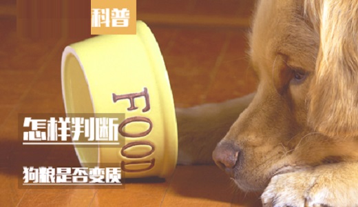 怎样判断狗粮是否变质