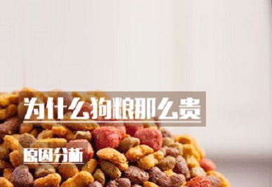 为什么狗粮那么贵