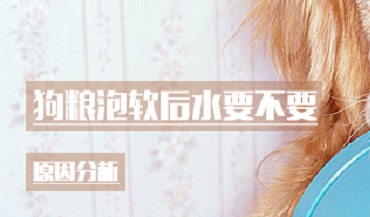 狗粮泡软后水要不要