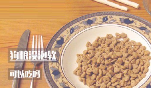 狗粮没泡软可以吃吗