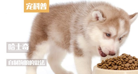 哈士奇自制狗粮的做法