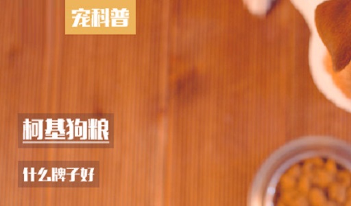 柯基狗粮什么牌子好