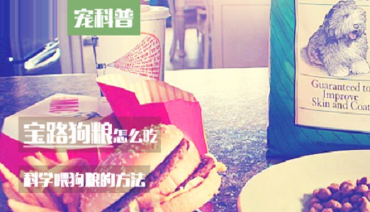 宝路狗粮怎么吃