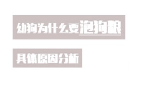 幼狗为什么要泡狗粮