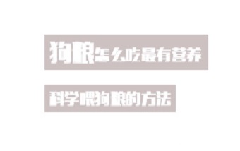 狗粮怎么吃最有营养