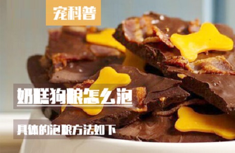 奶糕狗粮怎么泡