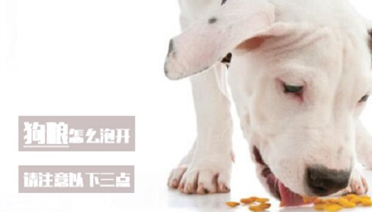 狗粮怎么泡开