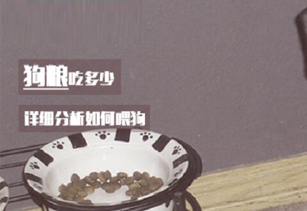 狗粮吃多少