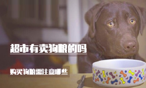 超市有卖狗粮的吗
