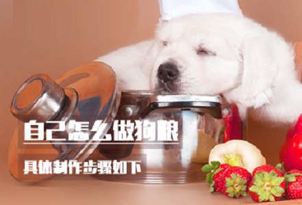 自己怎么做狗粮