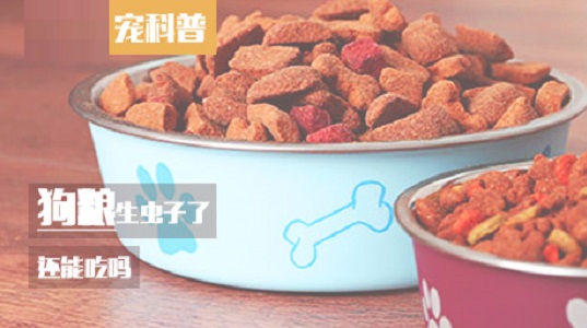 狗粮生虫子了还能吃吗