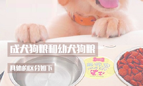 成犬狗粮和幼犬狗粮