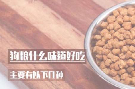 狗粮什么味道好吃