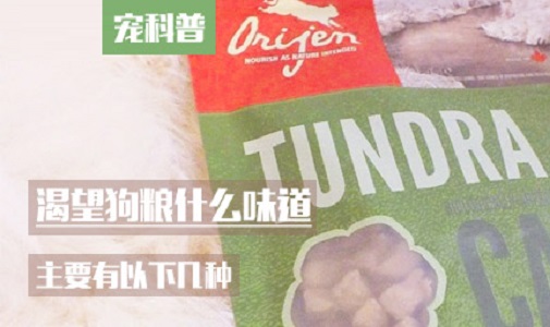 渴望狗粮什么味道