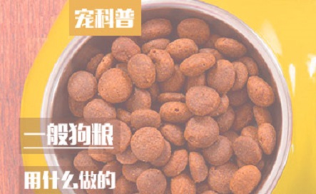 一般狗粮用什么做的