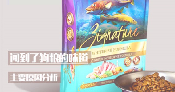 闻到了狗粮的味道