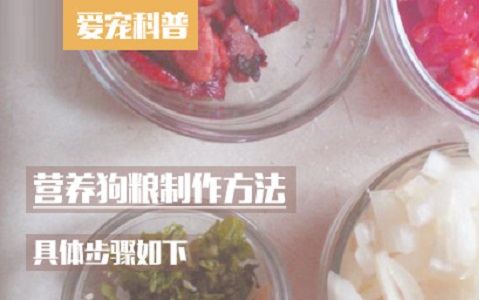 营养狗粮制作方法