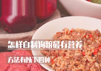 怎样自制狗粮最有营养