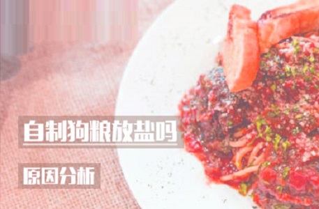 自制狗粮放盐吗