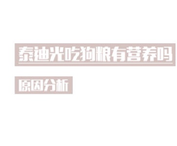 泰迪光吃狗粮有营养吗