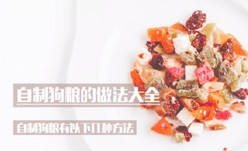 自制狗粮的做法大全