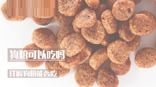 狗粮可以吃吗