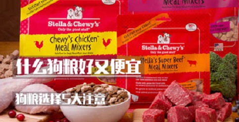 什么狗粮好又便宜