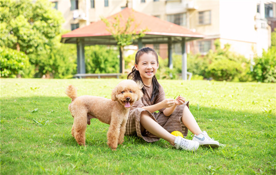 鹤壁禁养犬种 鹤壁禁养狗