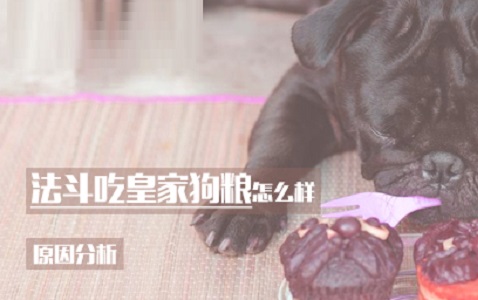 法斗吃皇家狗粮怎么样