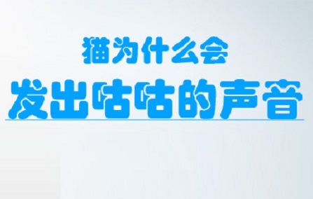 猫为什么会发出咕咕的声音