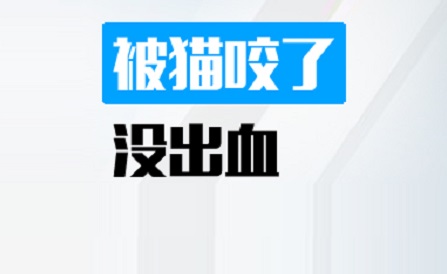 被猫咬了没出血