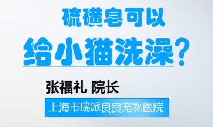硫磺皂可以给小猫洗澡吗