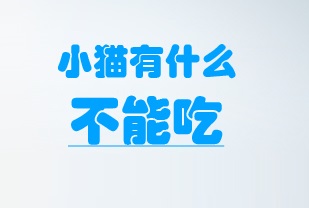 小猫有什么不能吃