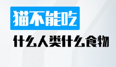 猫不能吃什么人类什么食物
