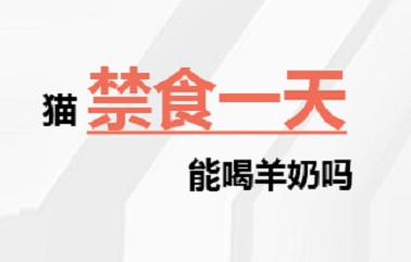 猫禁食一天能喝羊奶吗