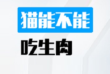 猫能不能吃生肉