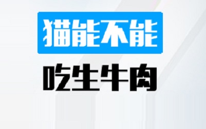 猫能不能吃生牛肉