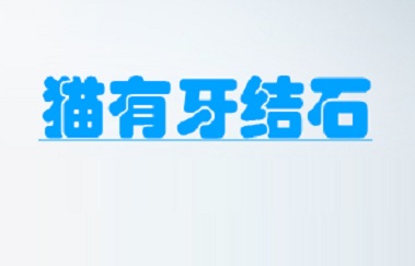 猫有牙结石
