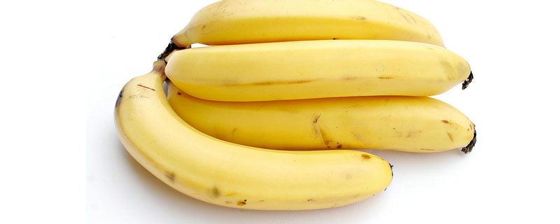 猫咪能不能吃香蕉