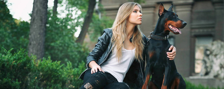 杜宾犬的优点和缺点