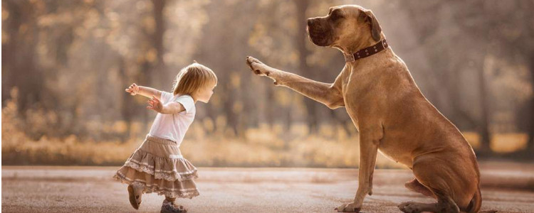 宝宝让狗咬了怎么办