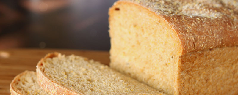 狗可以吃面包吗