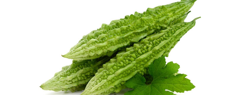 狗狗可以吃苦瓜吗